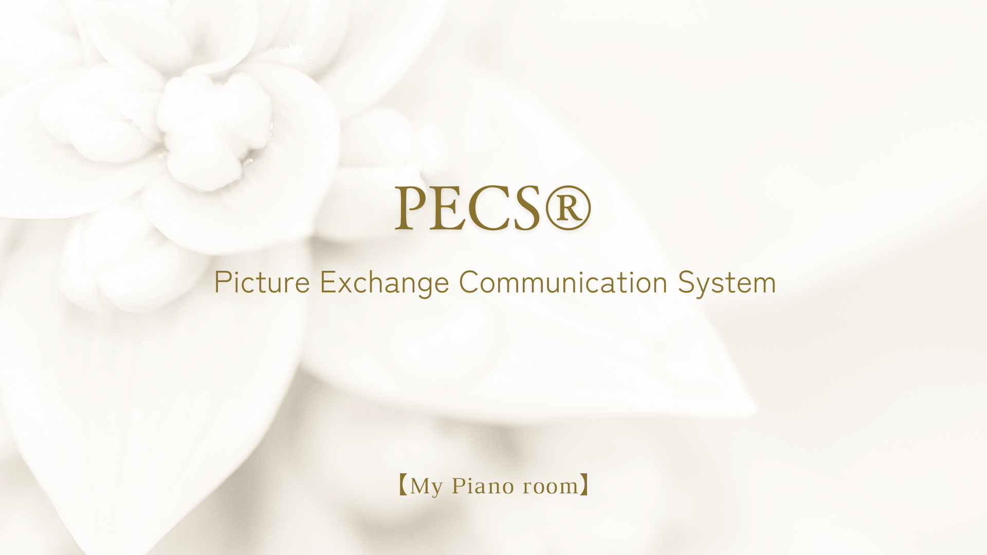 保護中: 東京中央PECS®️サークル第1回保護者の部